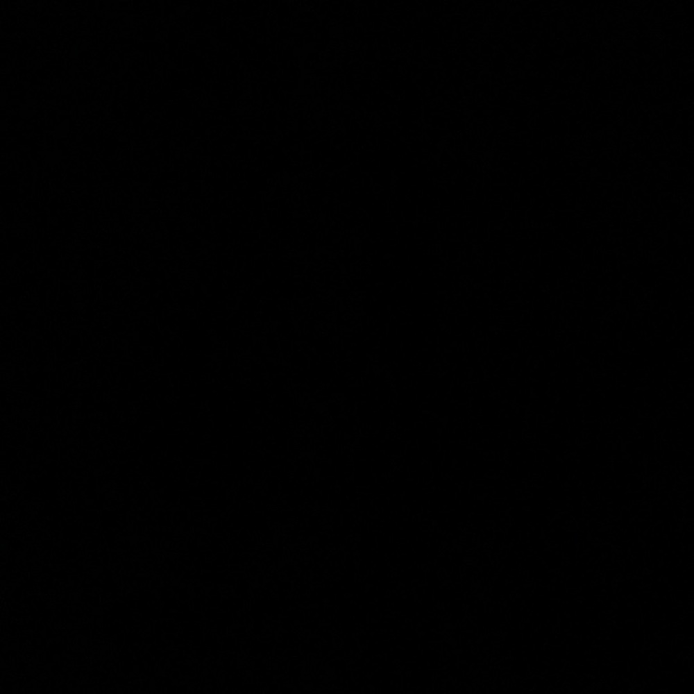 Meet your Posher, Sadie